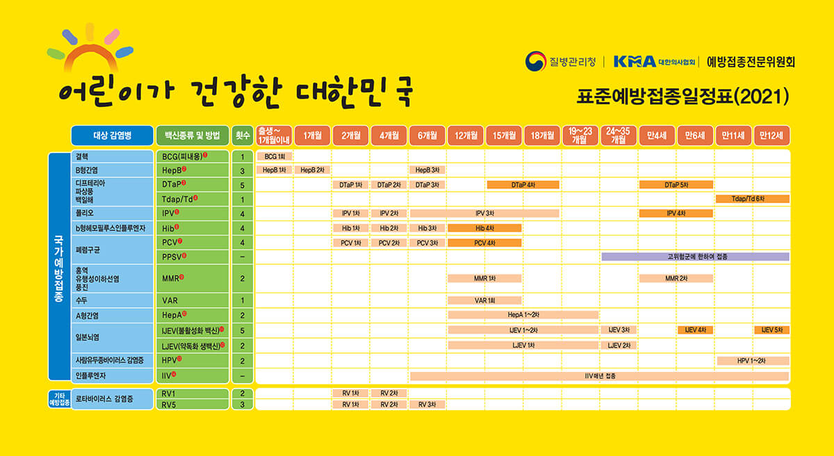 표준 예방접종 일정표